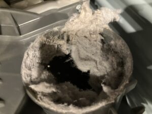 洗濯機がクサい！臭いの原因と対処法を紹介します