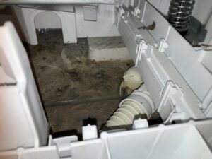 洗濯機がクサい！臭いの原因と対処法を紹介します