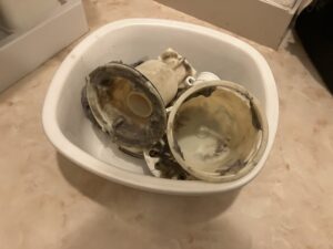 洗濯機がクサい！臭いの原因と対処法を紹介します