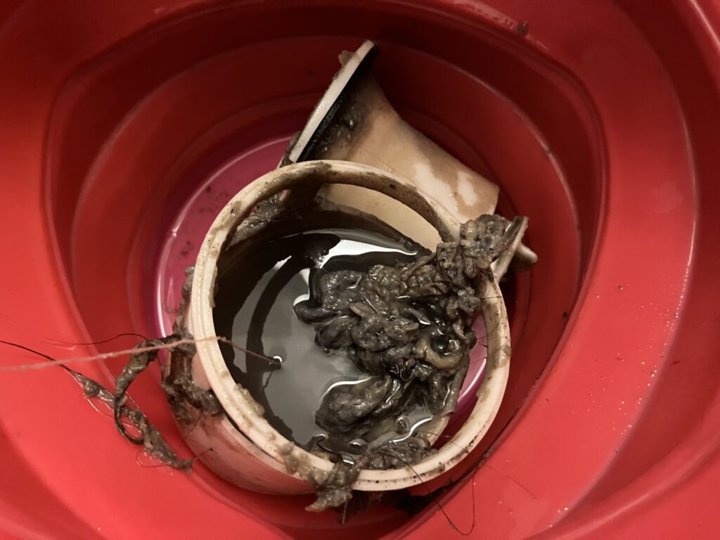 超簡単！日立ドラム式洗濯機「C02」排水エラーが起きた時の解決方法