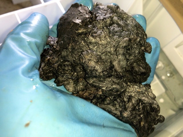 日立ドラム式洗濯機「C02」排水できない時の対処法を紹介します