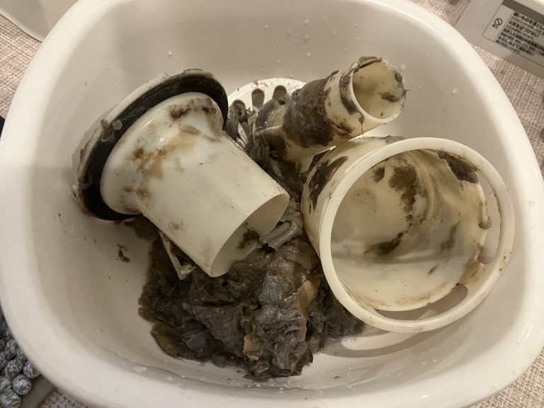 【ドラム式洗濯機】脱水できない時の対処法を紹介します