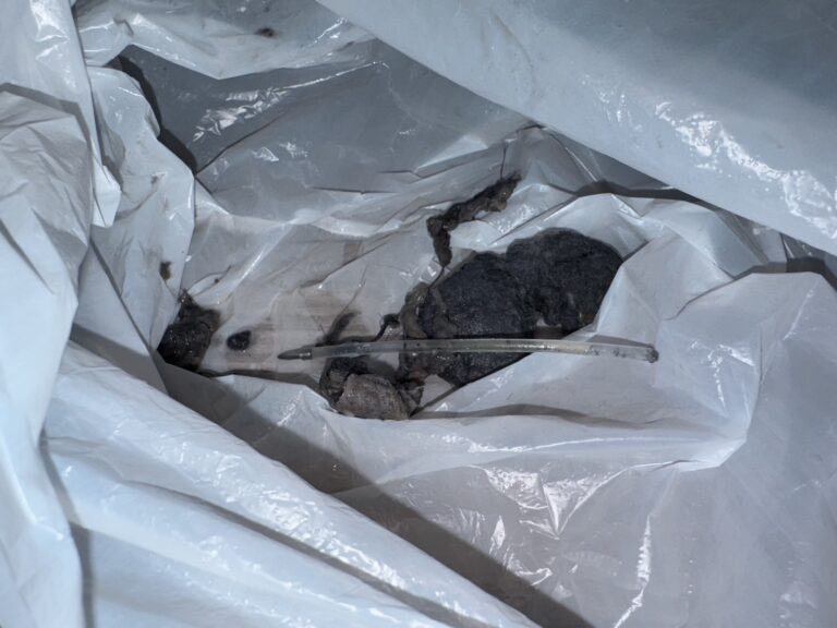 【シャープドラム式洗濯機】乾燥時間が長くなった！乾かない時の原因と対処法