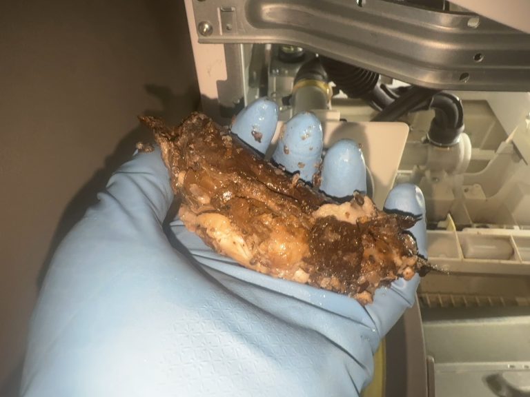 パナソニック洗濯機で乾燥が終わらない時の原因と対処法を紹介