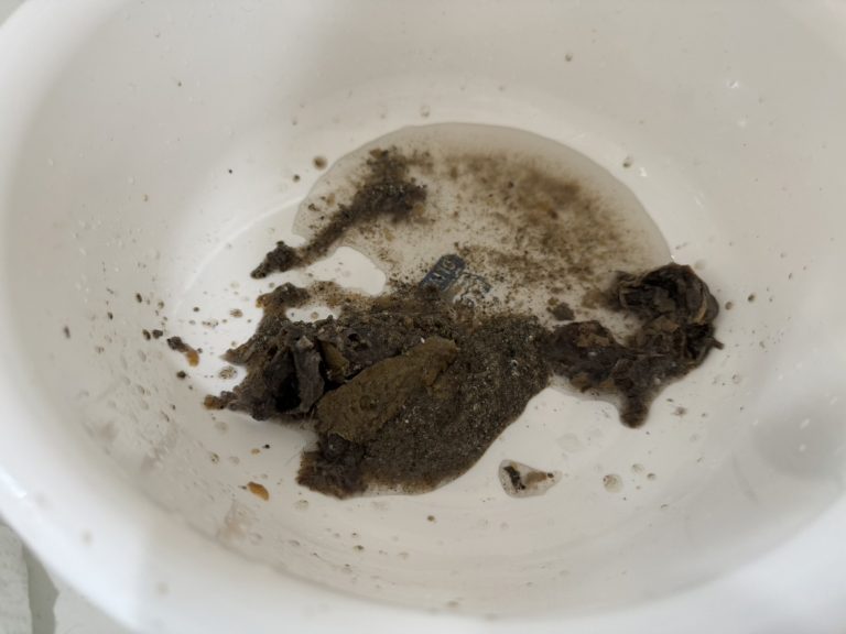 日立ドラム式洗濯機「C02」排水できない時の対処法を紹介します