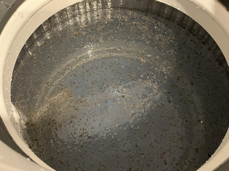 洗濯機の排水口の臭いがキツい！原因と対処方法