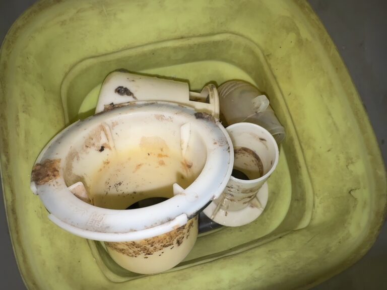 洗濯機がクサい！臭いの原因と対処法を紹介します