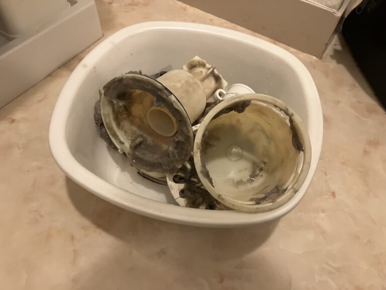 洗濯機がクサい！臭いの原因と対処法を紹介します