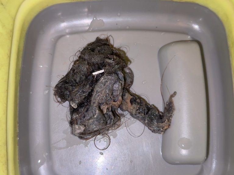 【パナソニック洗濯機全般】臭いが気になる時の原因と対処法を紹介します