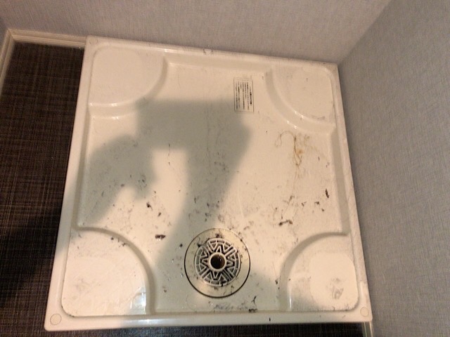 横浜市神奈川区で日立洗濯機排水つまり「C02」専門業者の作業実績