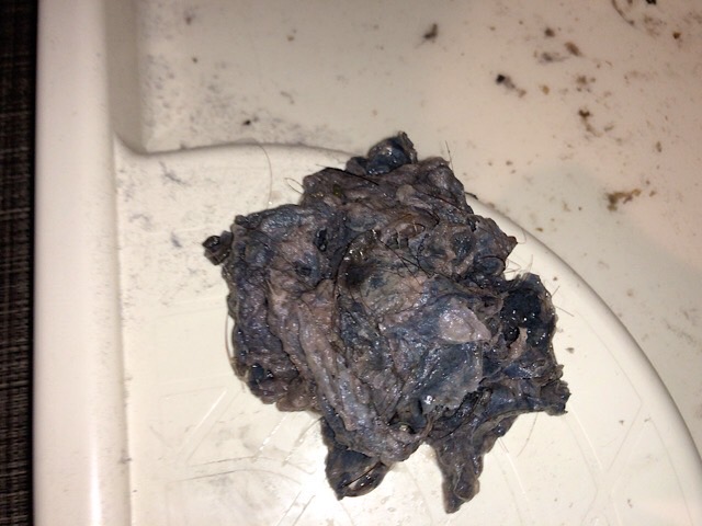 横浜市神奈川区で日立洗濯機排水つまり「C02」専門業者の作業実績