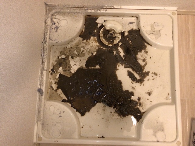 千葉県柏市【洗濯機排水口つまり・水漏れ】専門の修理業者が解決します