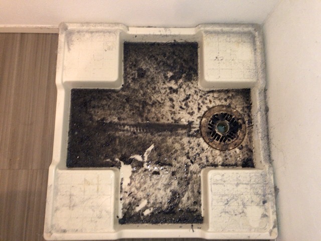 東京都板橋区でドラム式洗濯機の詰まり修理！専門業者の作業実績