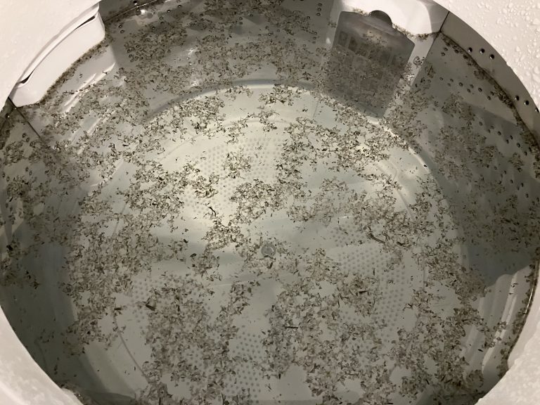 ドラム式洗濯機のデメリットは？故障が多くて修理費用も高い