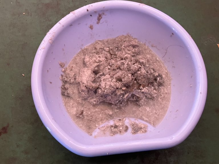 東京都大田区で洗濯機の排水口つまり修理に行ってきました