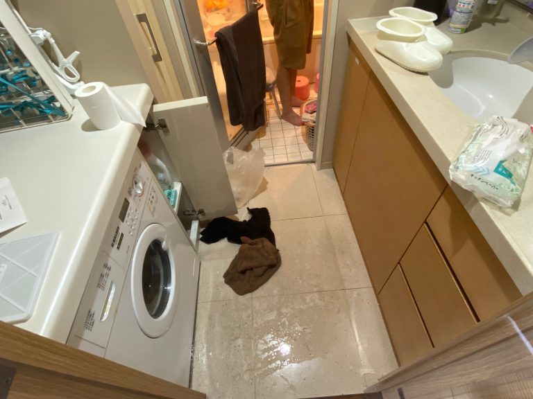 東京都世田谷区【洗濯機排水口つまり・水漏れ】専門の修理業者が解決します