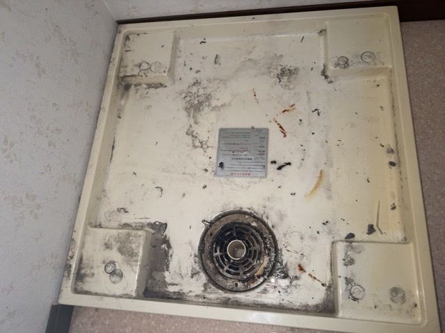 神奈川県川崎市【洗濯機排水口つまり修理】