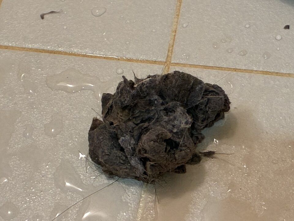 千葉県浦安市 パナソニックドラム式洗濯機U11排水エラー