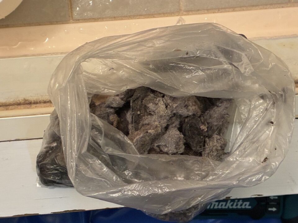 神奈川県川崎市【ドラム式洗濯機分解洗浄】専門業者の作業事例